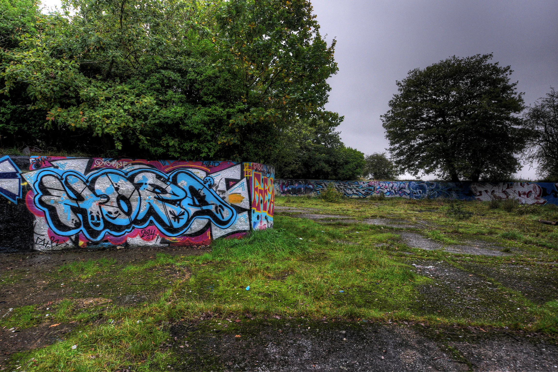 DSC_0004_5_6.jpg