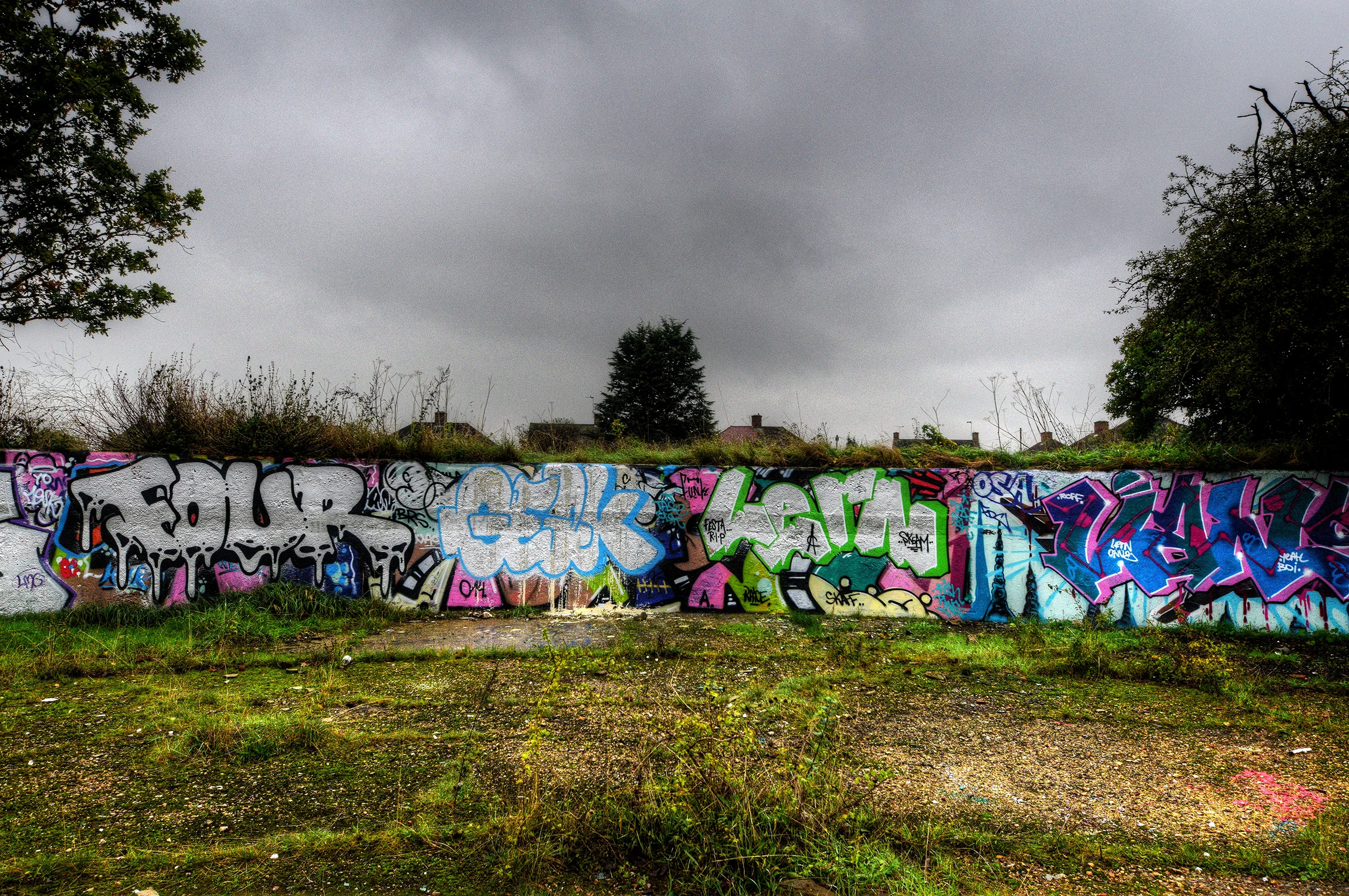 DSC_0067_8.jpg