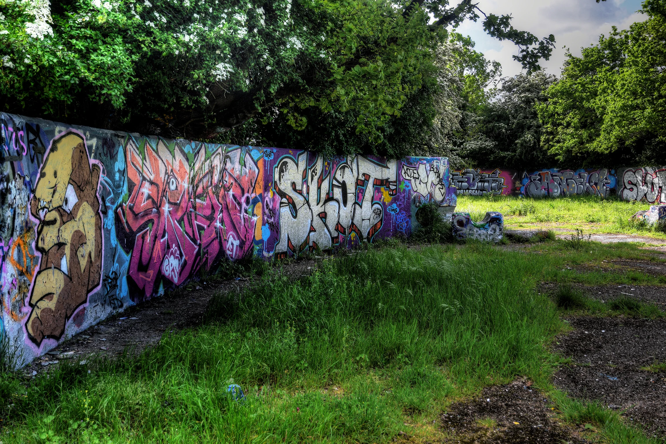 DSC_0612_3.jpg