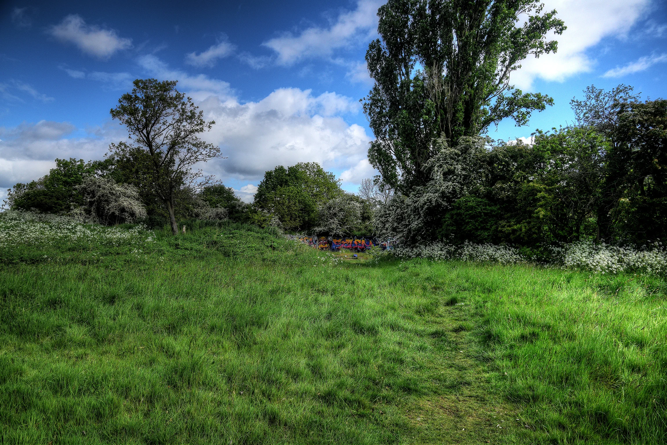 DSC_0648_9.jpg