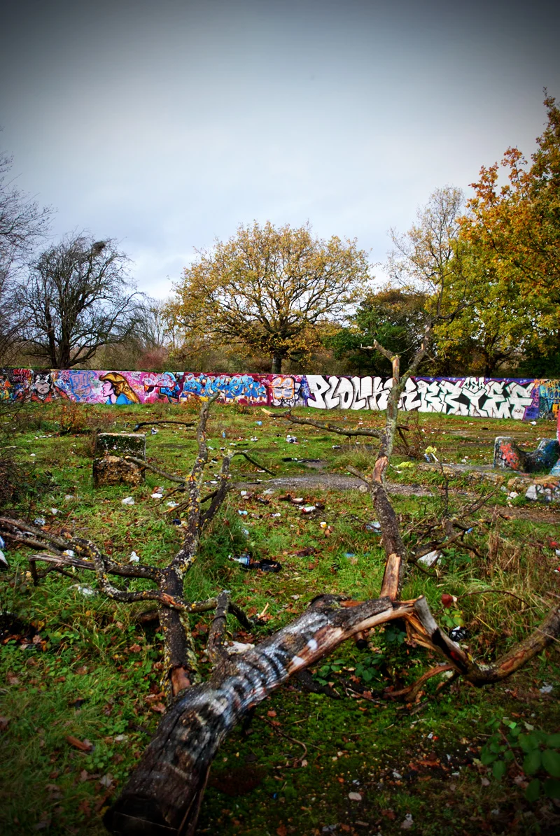 graf3.jpg