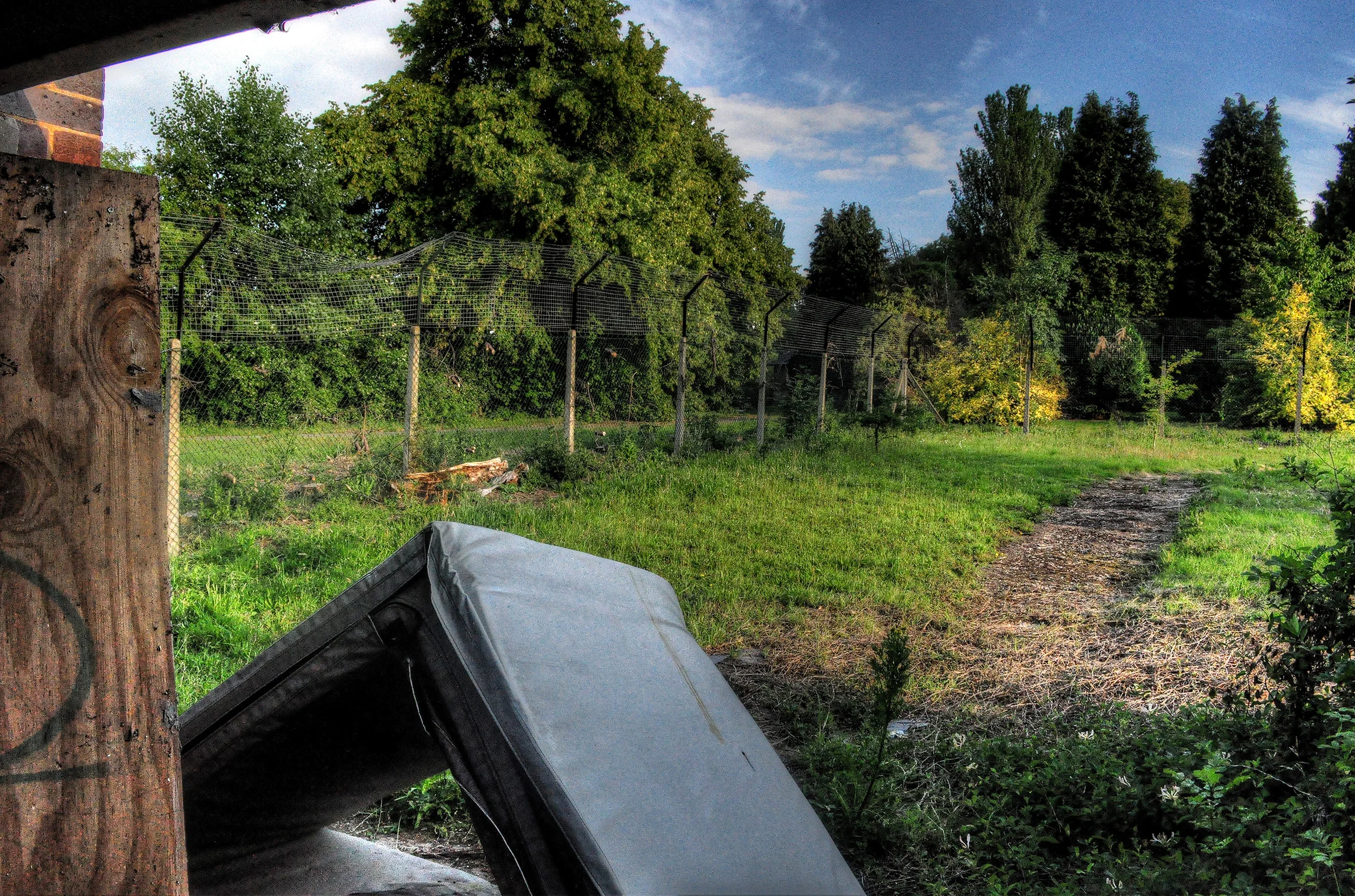 DSC_4652_3.jpg