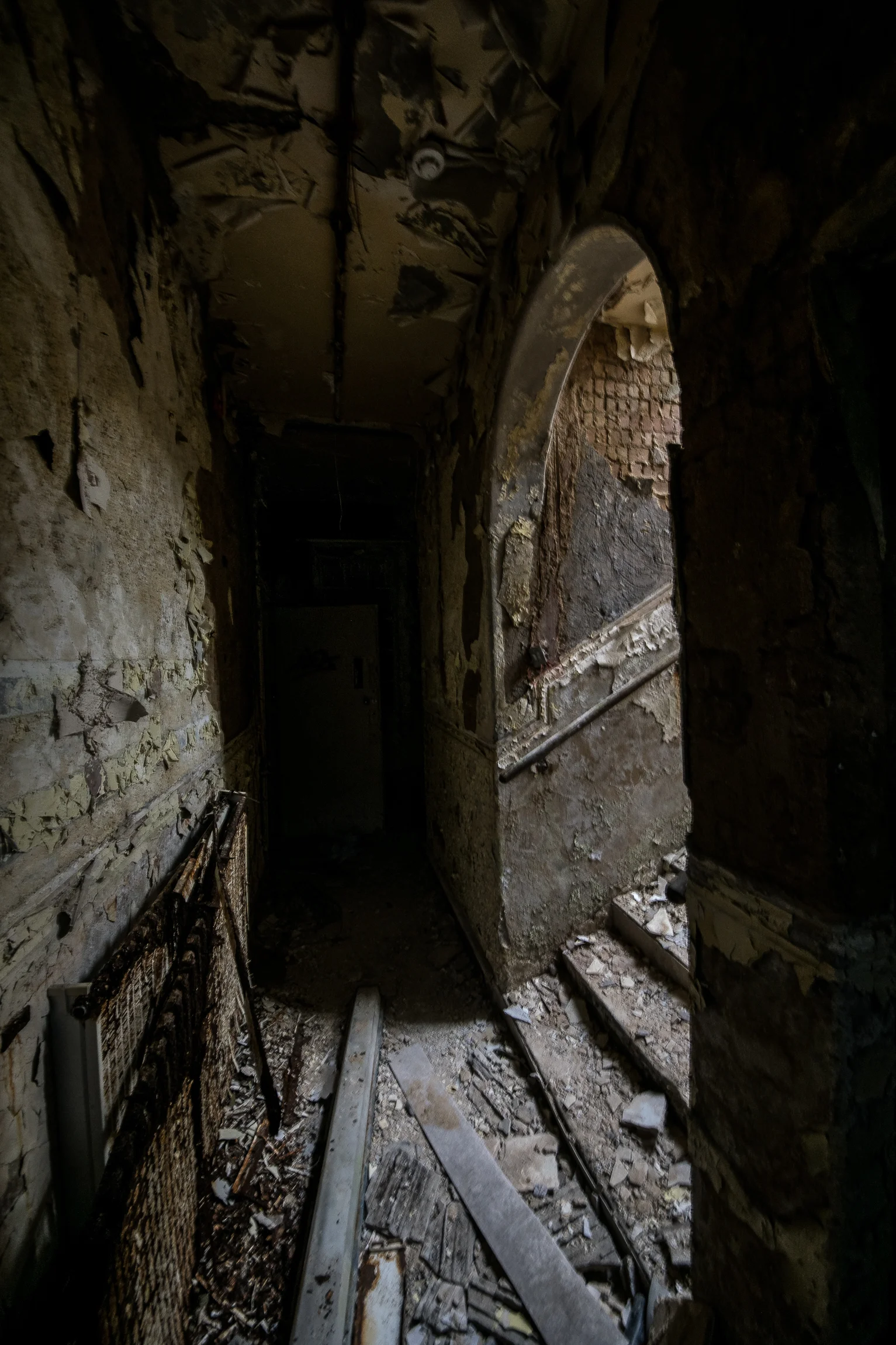 DevelopedNewHarper (72 of 78).jpg