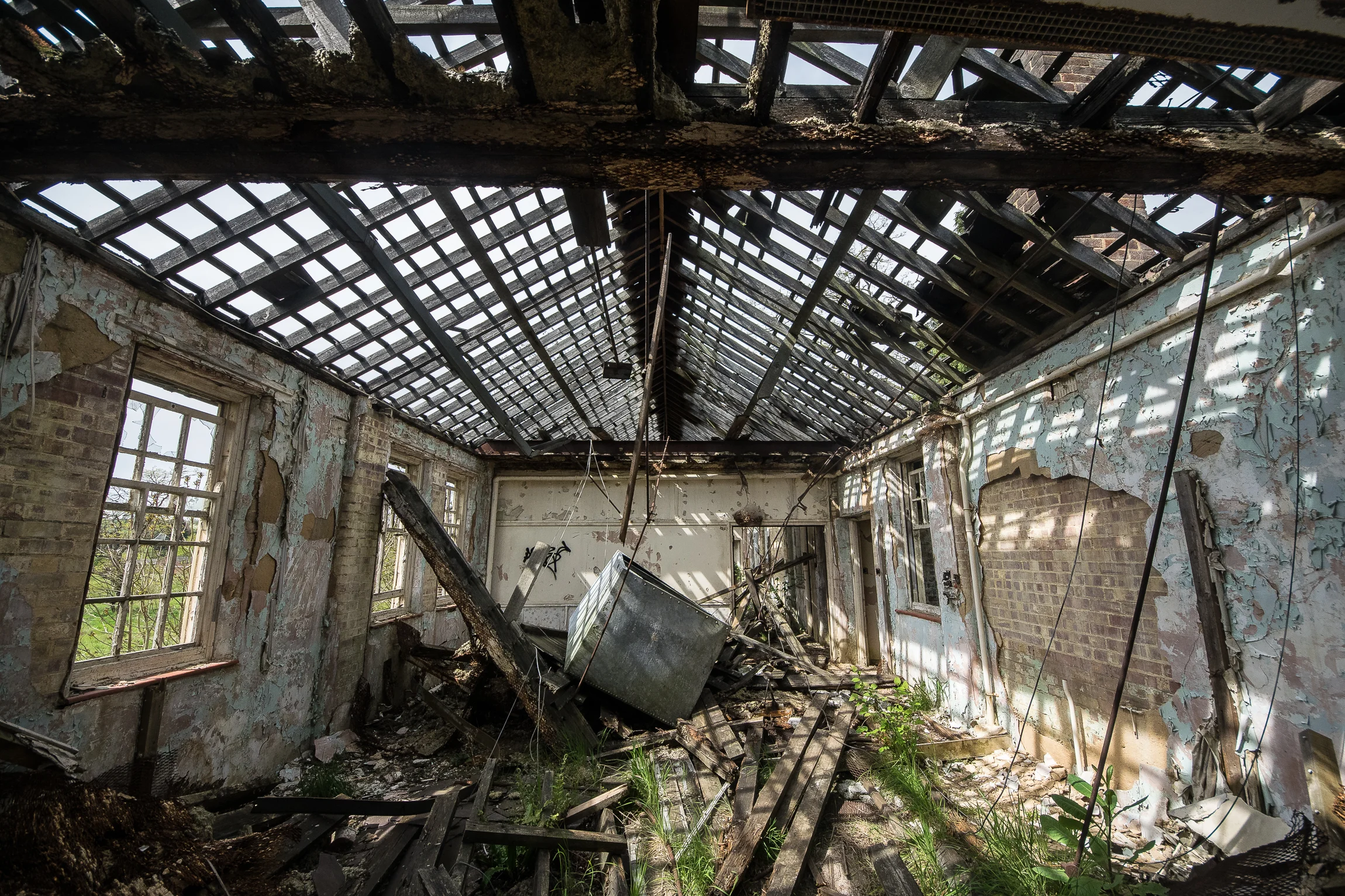 DevelopedNewHarper (21 of 78).jpg