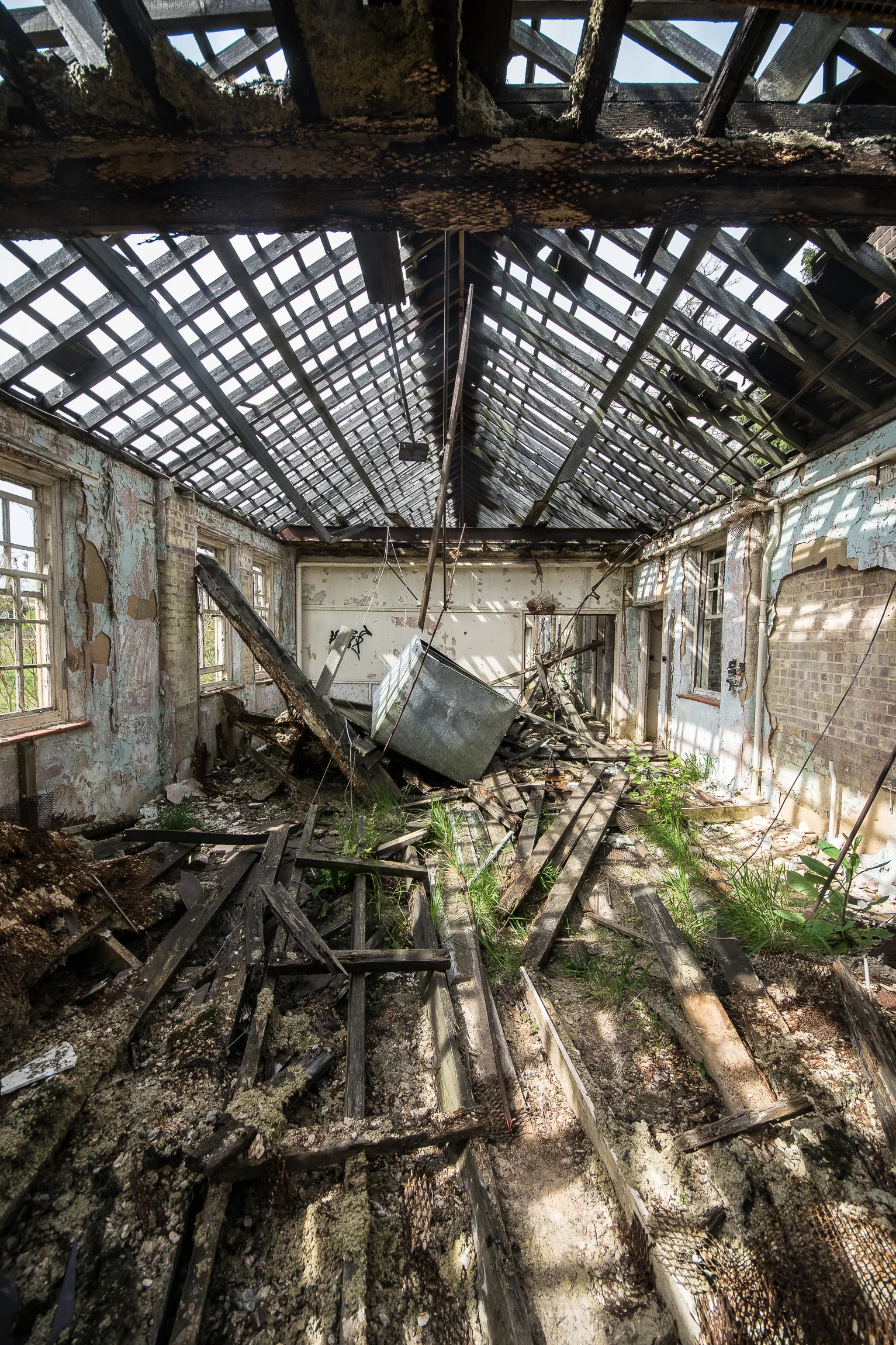 DevelopedNewHarper (22 of 78).jpg