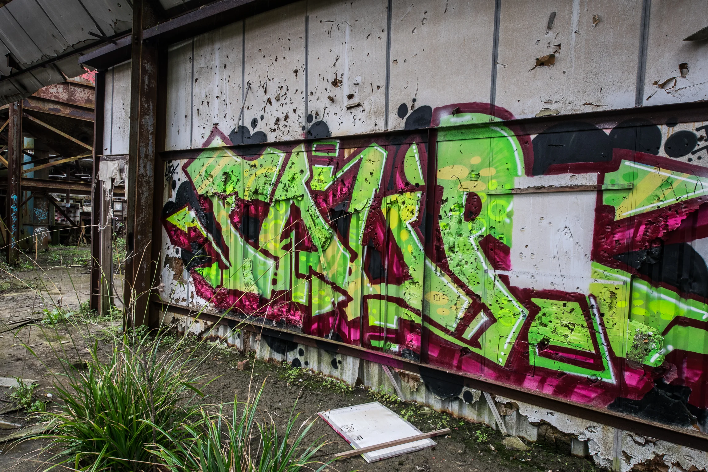 CatLitterRevisit (18 of 63).jpg