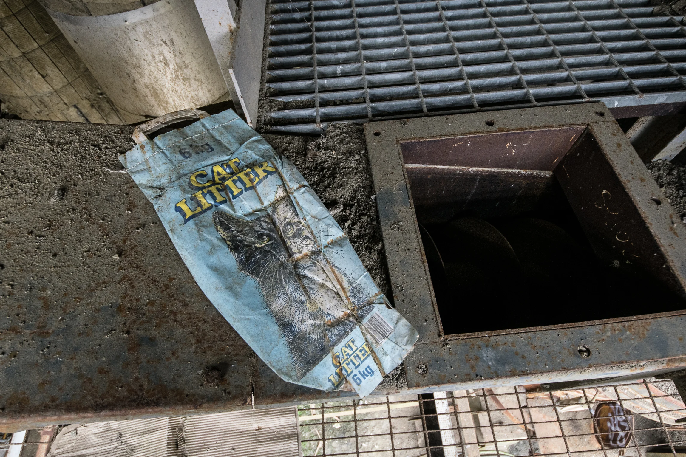CatLitterRevisit (28 of 63).jpg