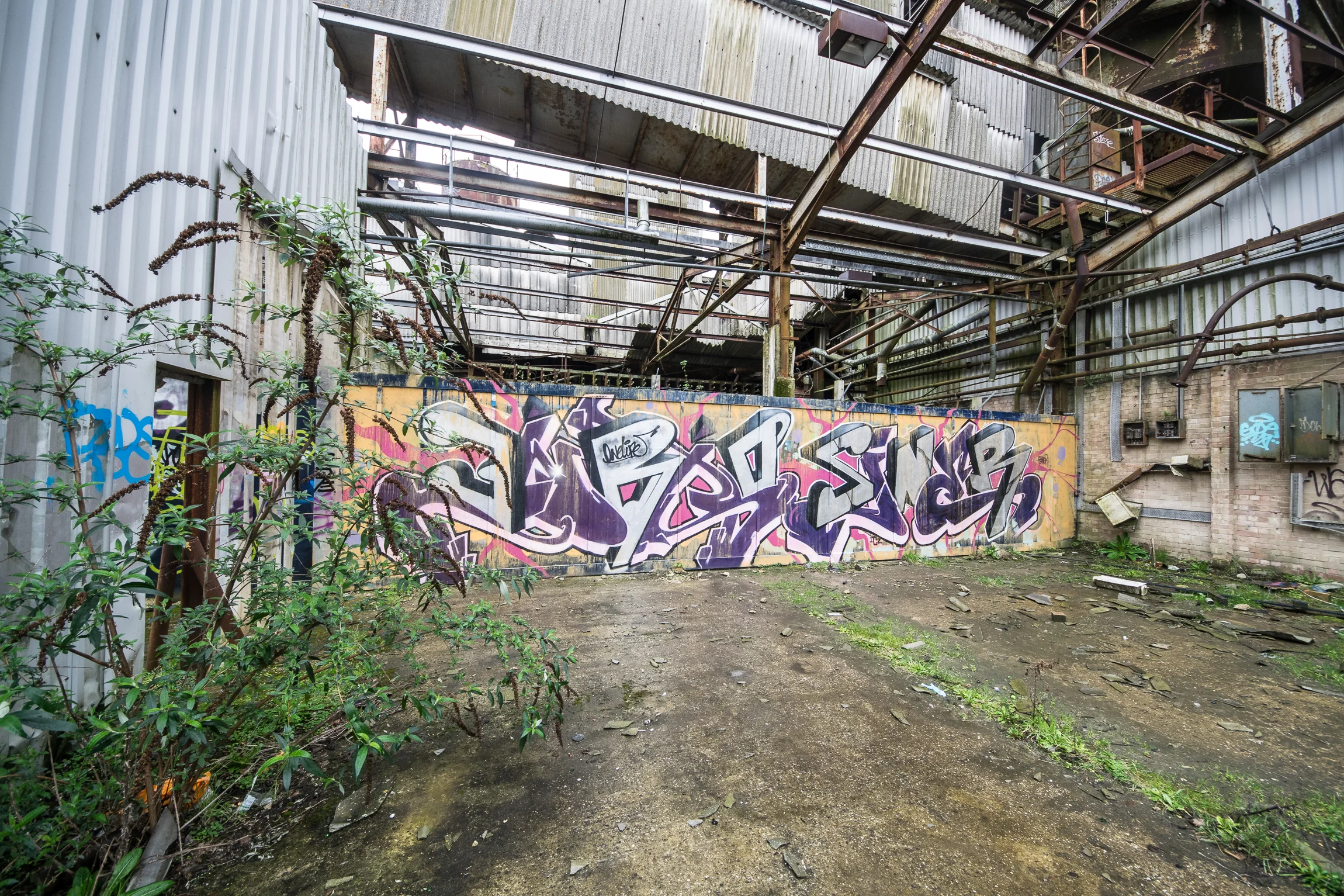 CatLitterRevisit (38 of 63).jpg