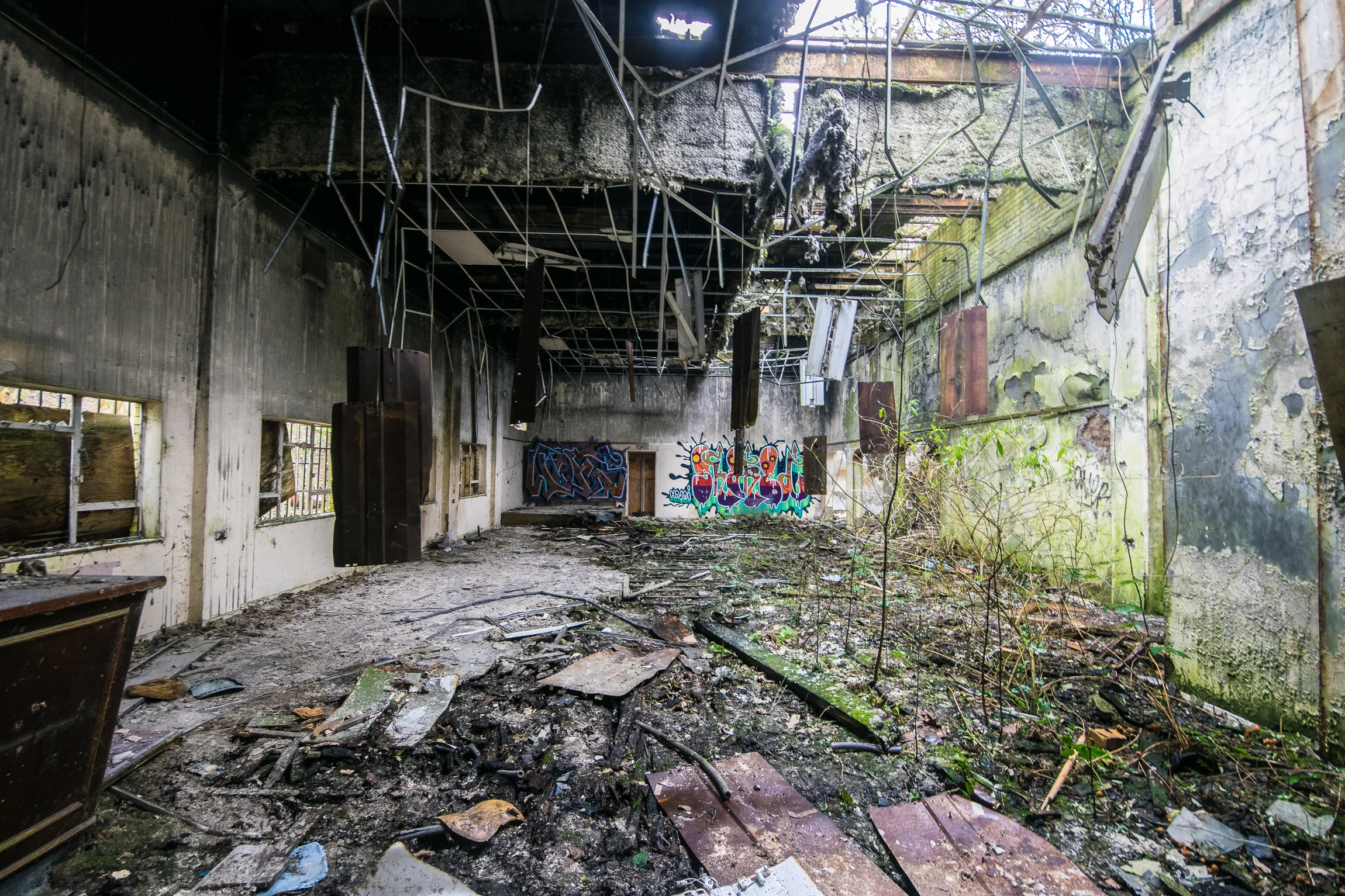 CatLitterRevisit (50 of 63).jpg