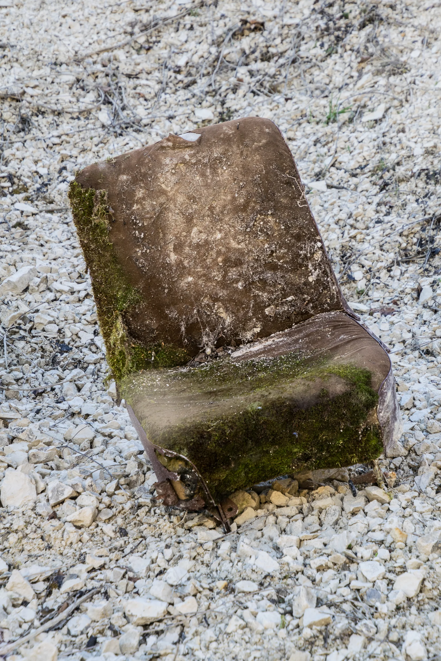 Quarry (35 of 67).jpg
