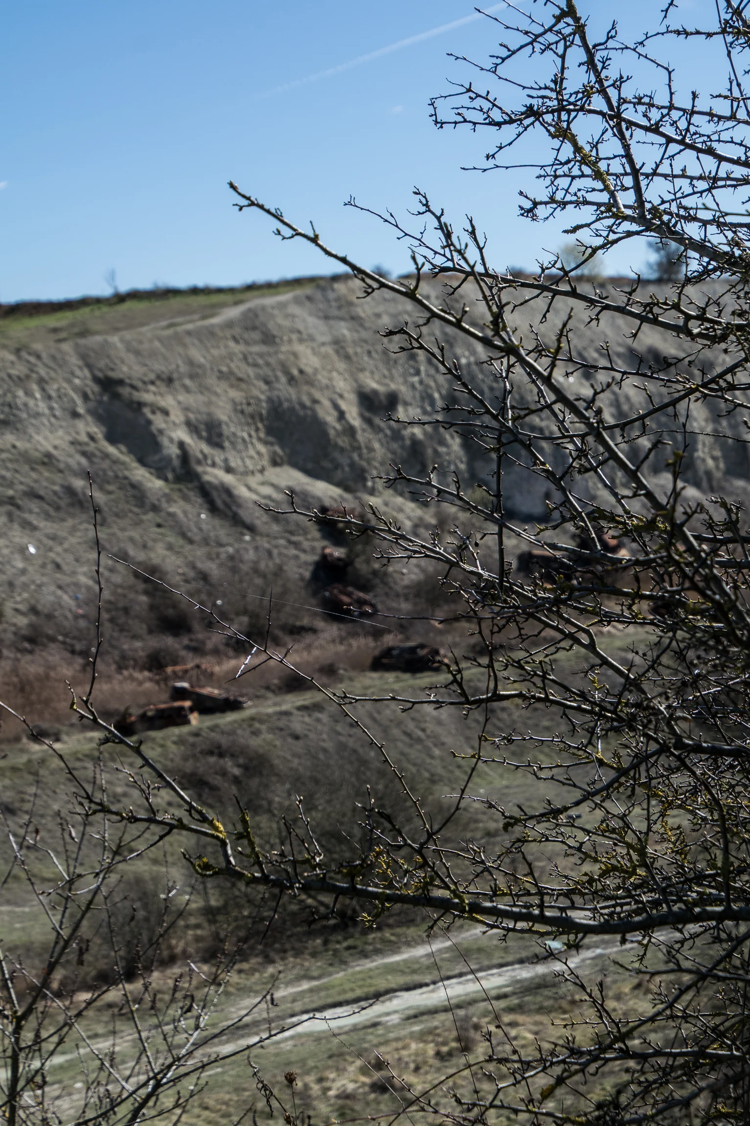 Quarry (52 of 67).jpg