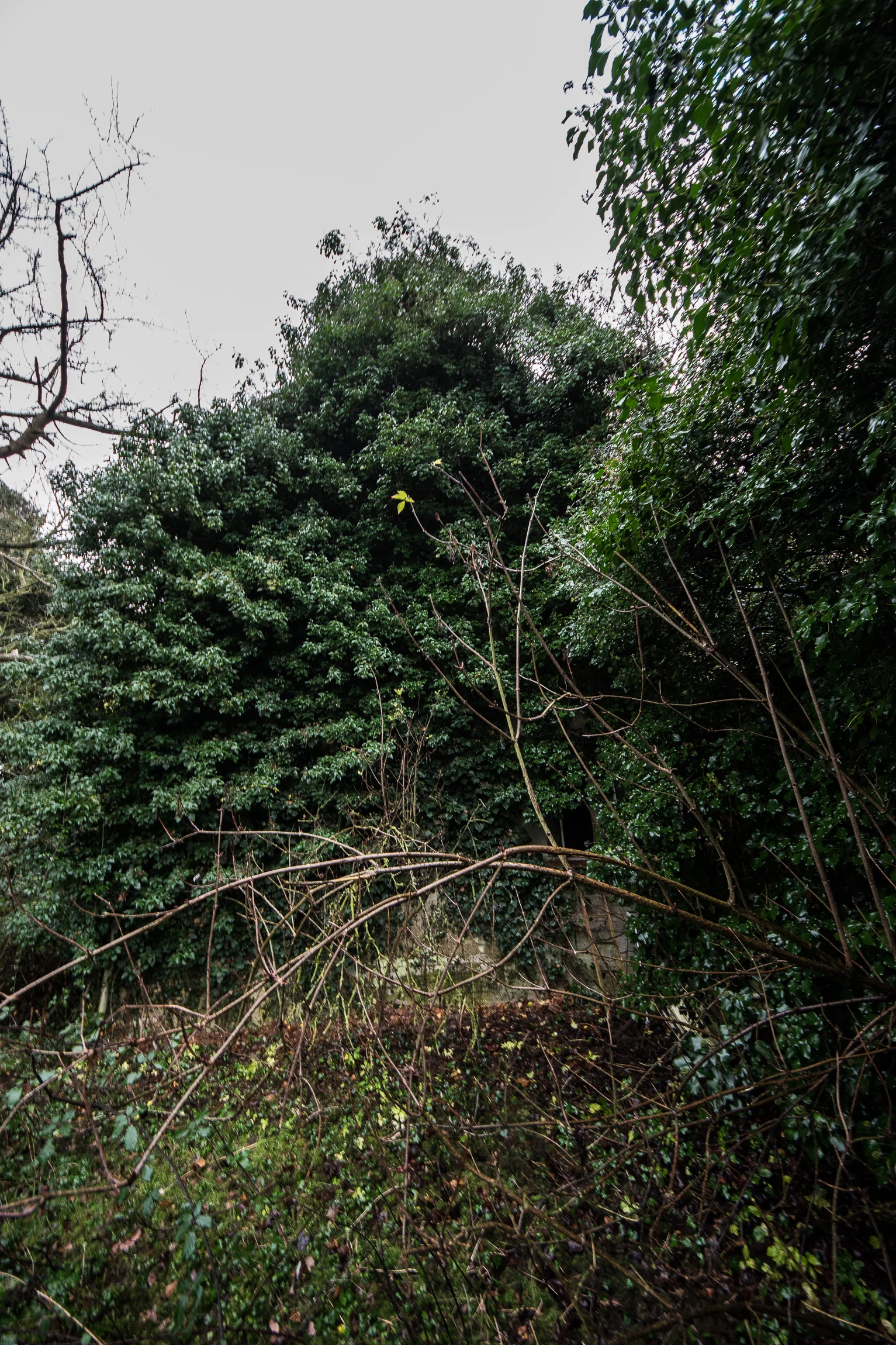 CareHome (58 of 63).jpg