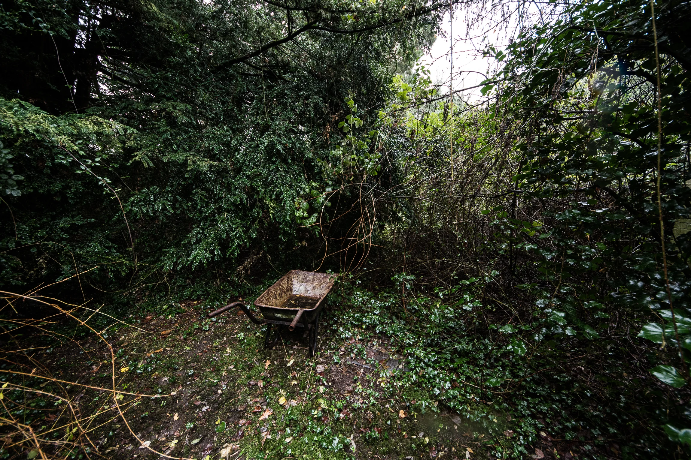 CareHome (60 of 63).jpg