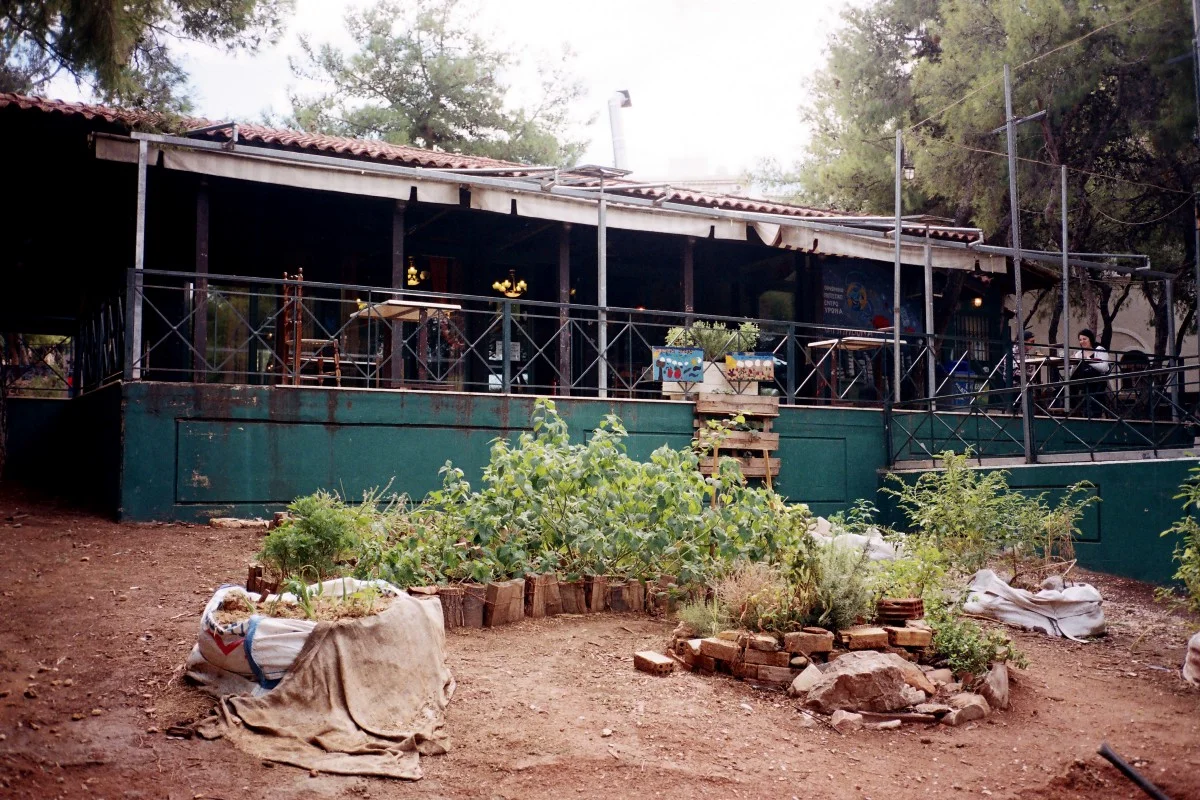 labidona12.jpg