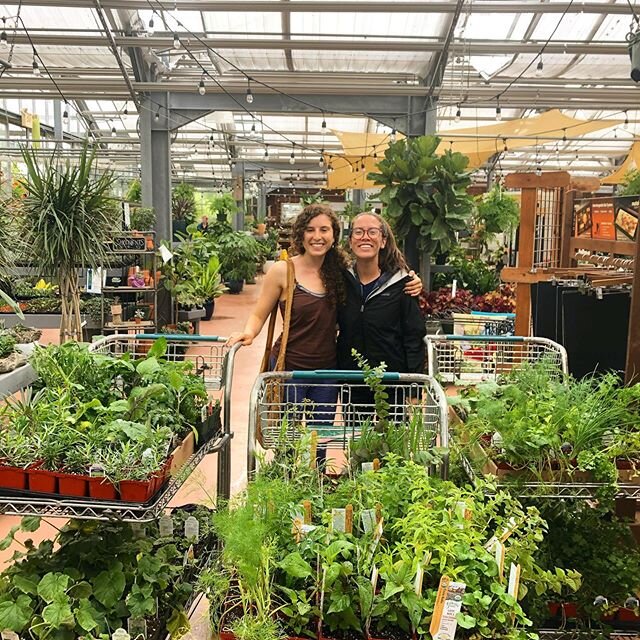 We remember the amazing and generous organic vegetable plant donations from @barlowflowerfarm last year! 🌿🥕🥬 The owner, and the staff were so friendly and helpful. It&rsquo;s not easy finding organic veg. plants, this was a true gift! They are ope