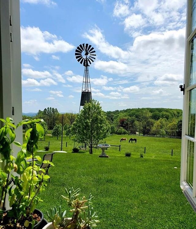 Heaven on earth ✨ The farm is green 🌿 &amp; full of beauty! Soon we will all be together on this beautiful land, hugging, laughing, gardening, serving and loving ❤️
.
.
#heavenonearth #lighttoearthsanctuary #creation #mothernature #njfarms #njsanctu