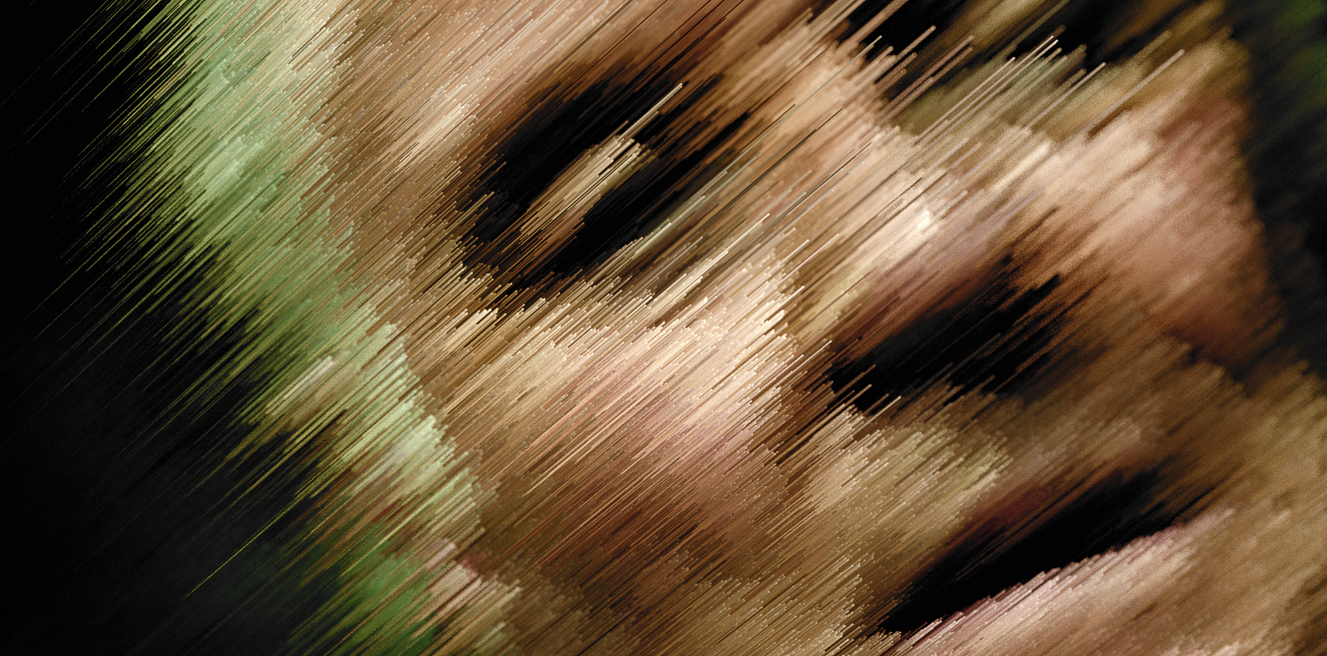HBO_STATIC_HOPKINS_C.jpg