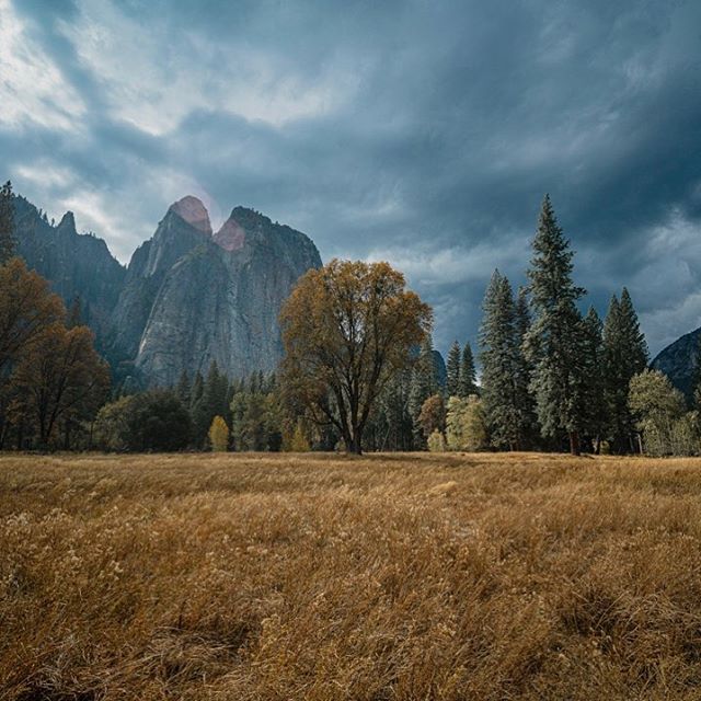 Yosemite
.
.
#a7rii #sonya7rii #photography #travel #yosemite #yosemitenationalpark #whataplace