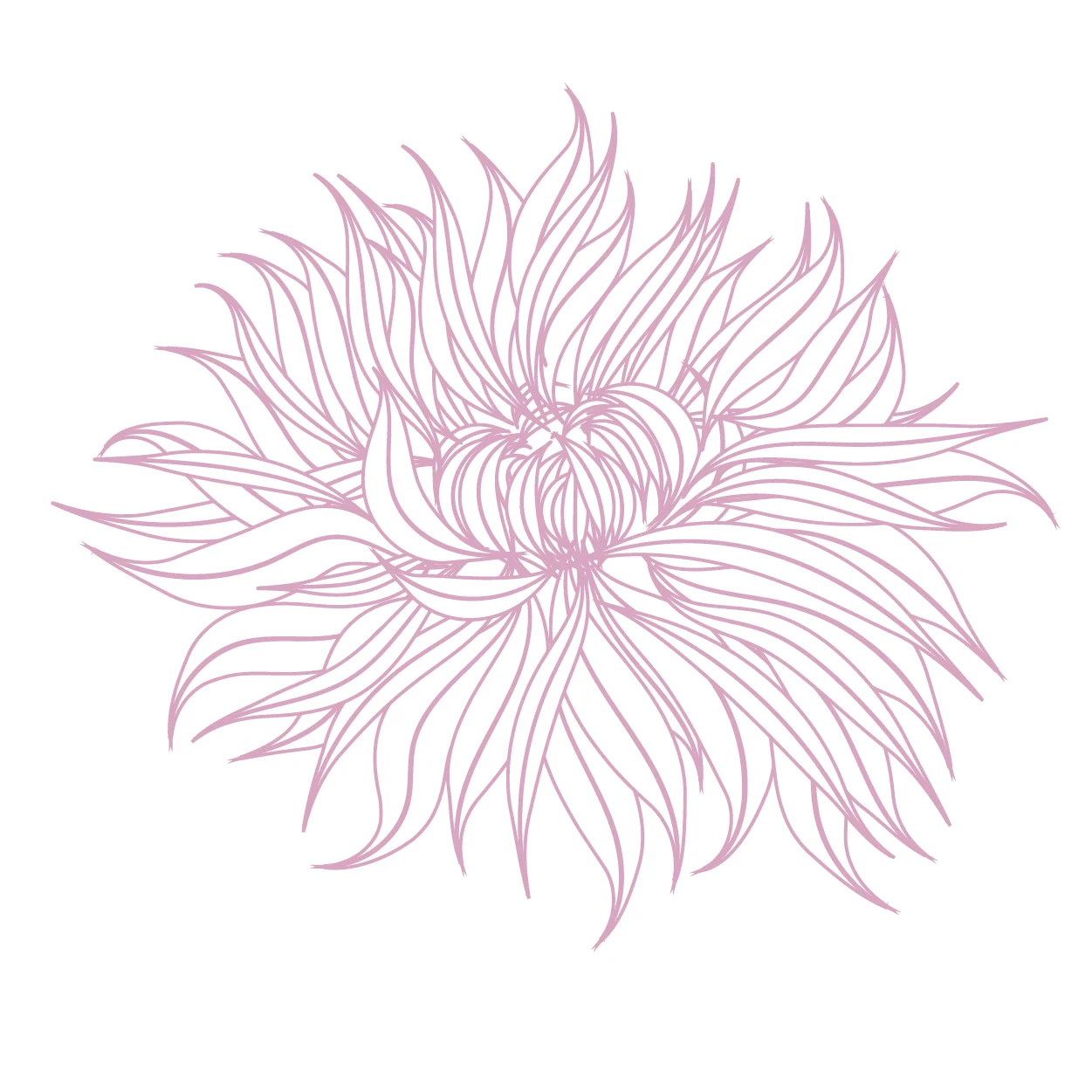 icons3_flower.jpg