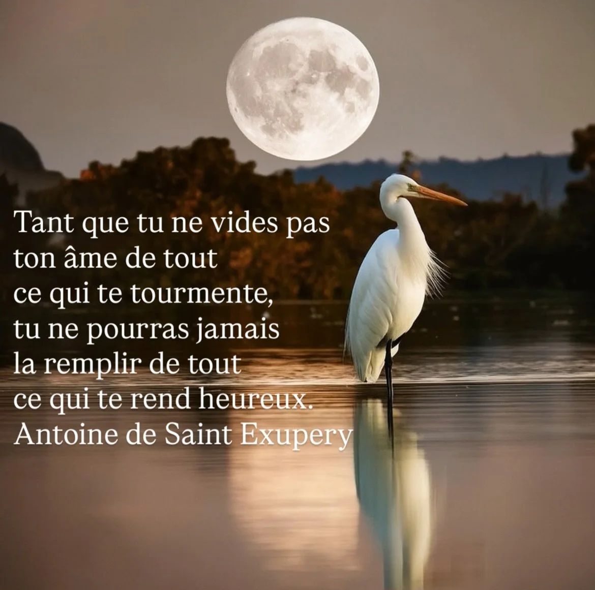 En ce jour de pleine lune, quitter l&rsquo;ancien et se d&eacute;charger de l&rsquo;obsol&egrave;te me semblent opportun pour donner de l&rsquo;espace &agrave; nos projets et de la lumi&egrave;re &agrave; nos &acirc;mes.

#pleinelune🌕 #spirituality 