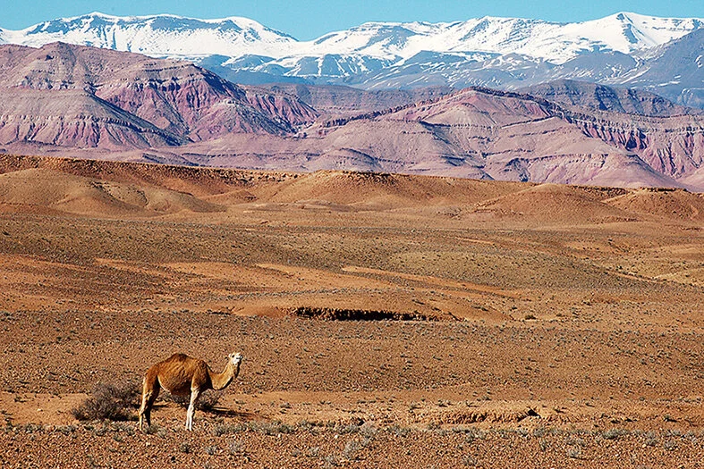 DSC_0187 copia.jpg