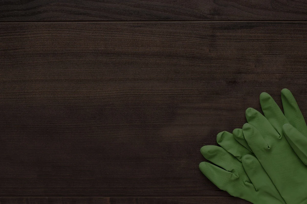 small-bg-gloves.jpg