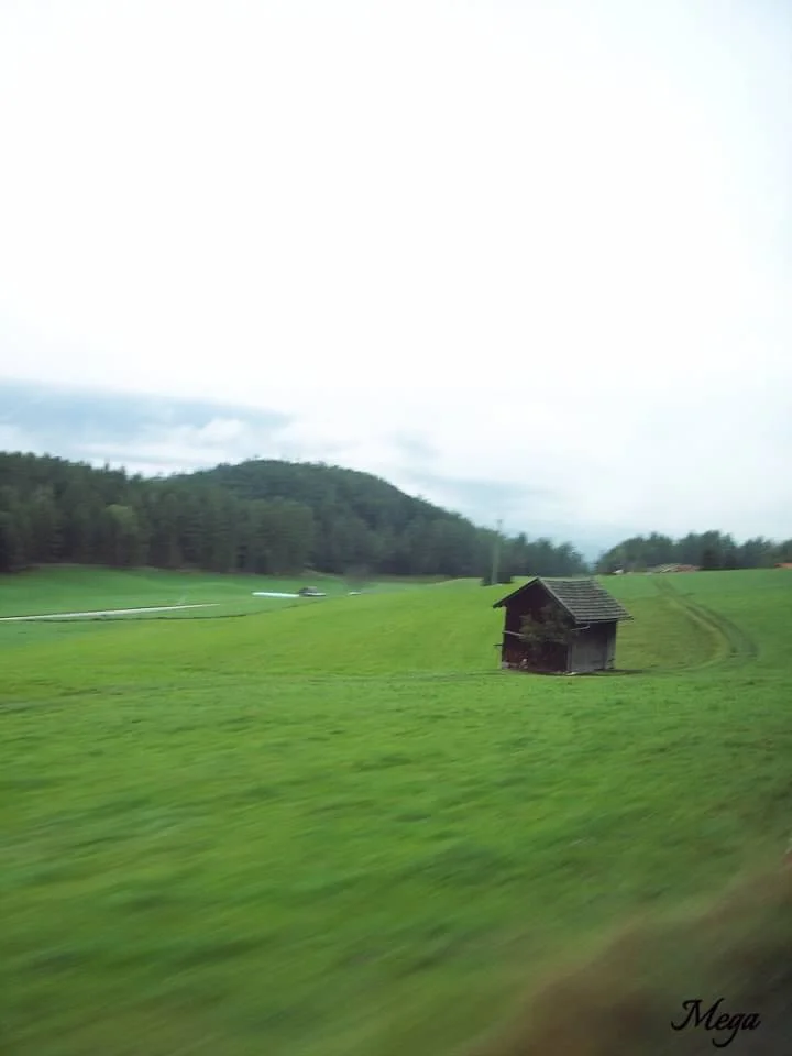 Germany: No place like home