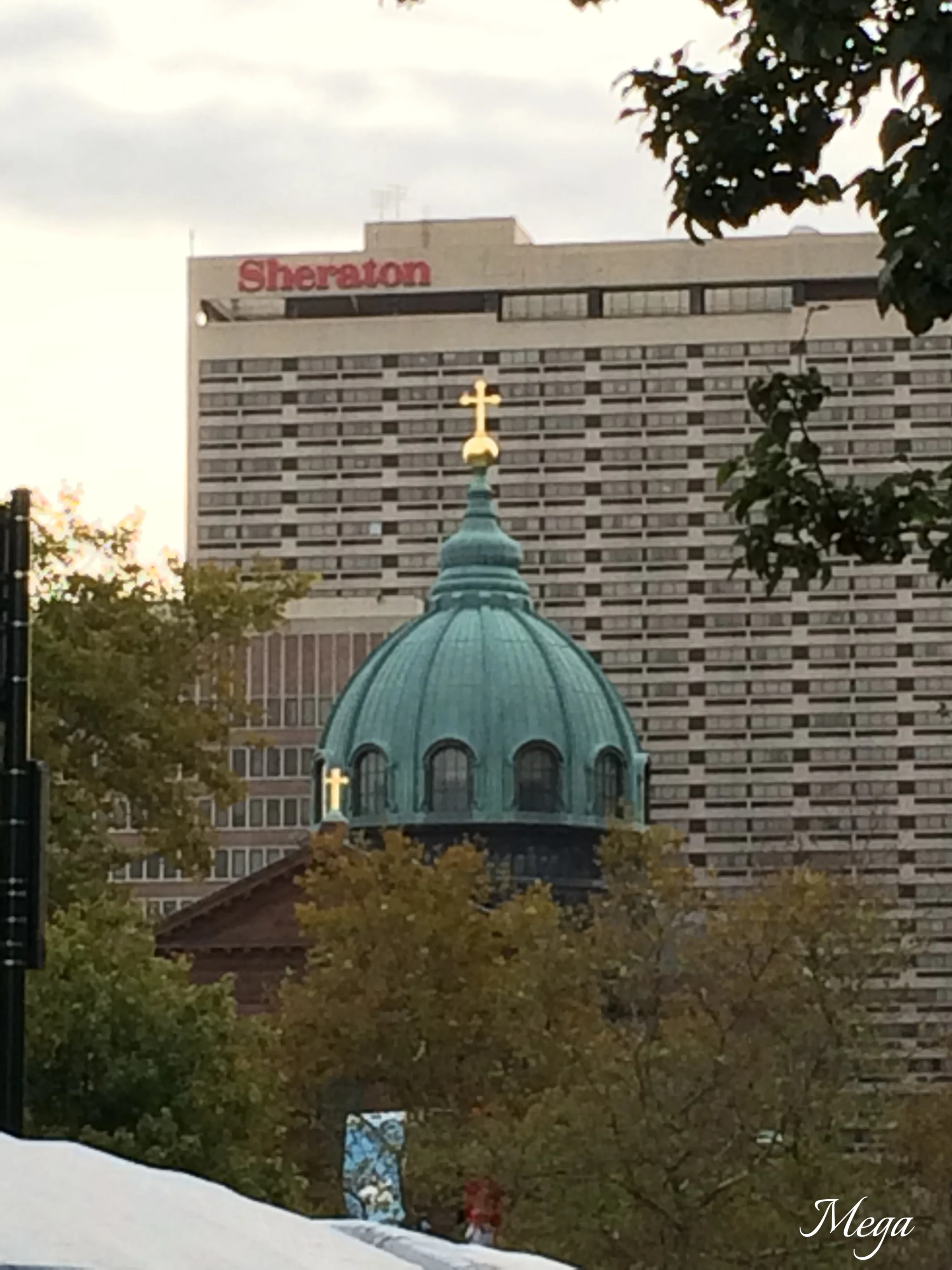 IMG_4521.jpg
