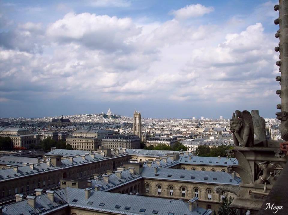 Notre Dame View 1.jpg