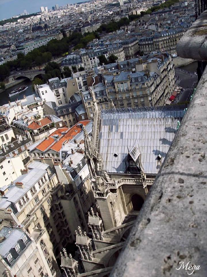Notre Dame view 4.jpg