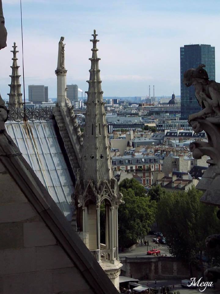 Notre Dame View 2.jpg