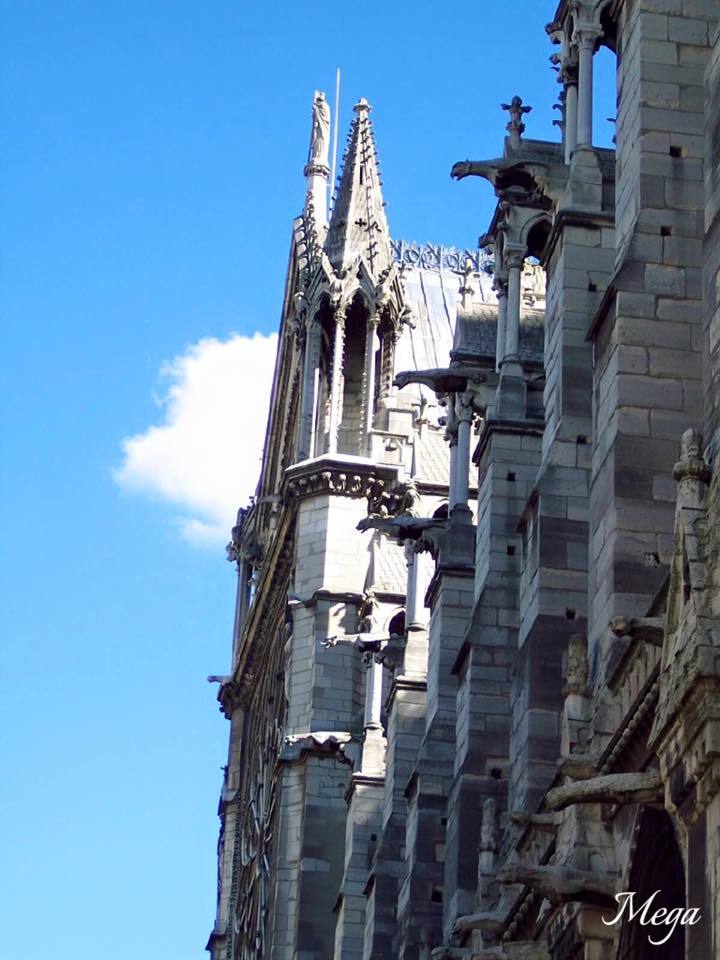 Notre Dame beauty 1.jpg