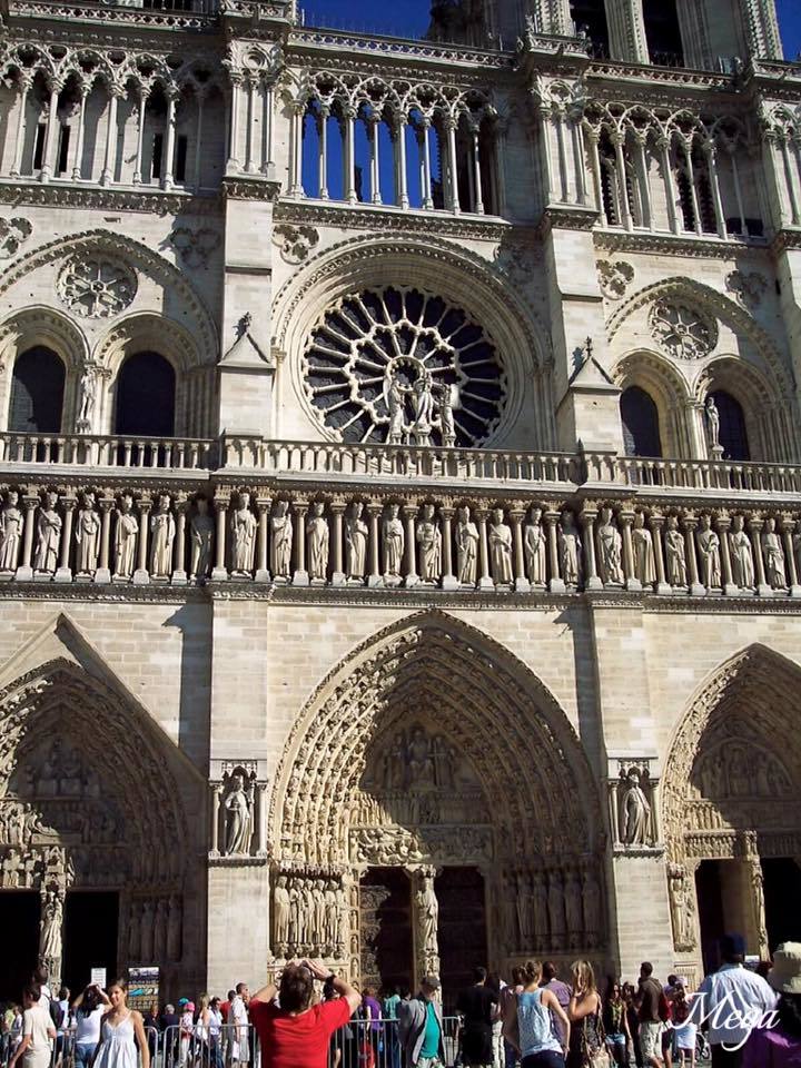 Notre Dame beauty 3.jpg