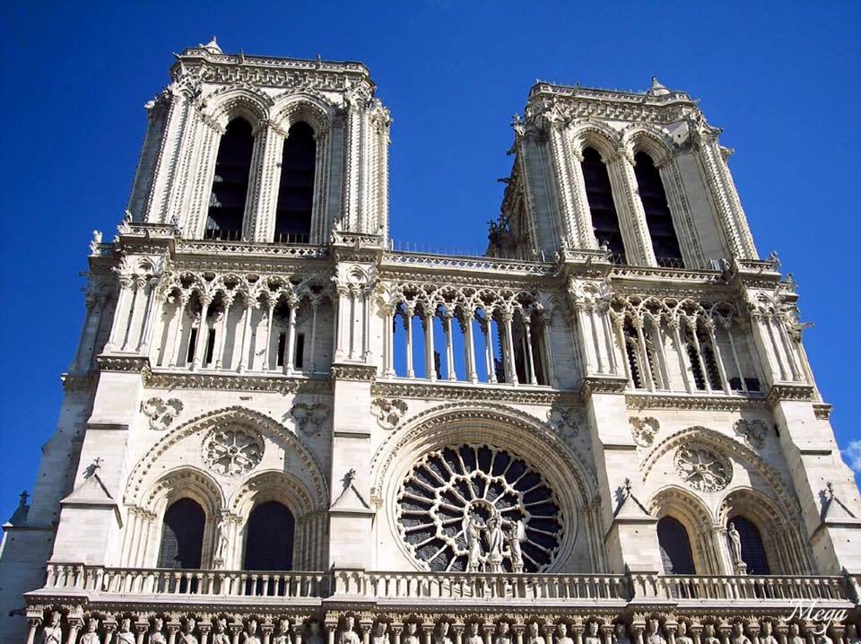Notre Dame beauty 4.jpg