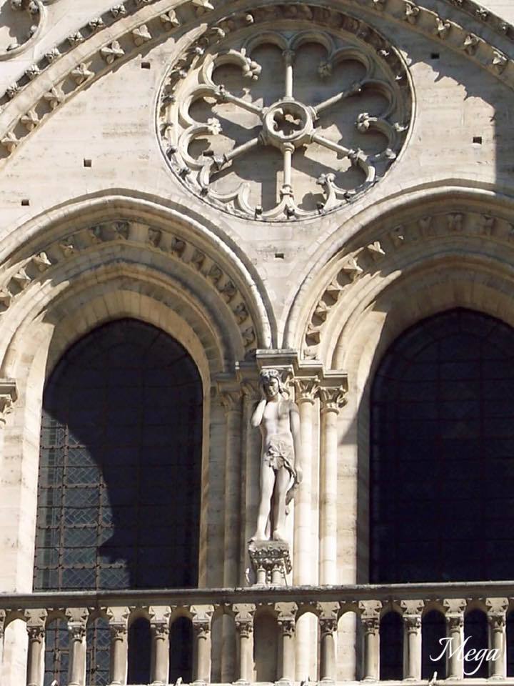 Notre Dame beauty 6.jpg