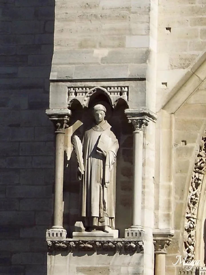 Notre Dame beauty 13.jpg