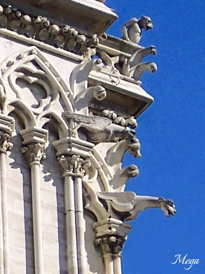 Notre Dame beauty 19.jpg