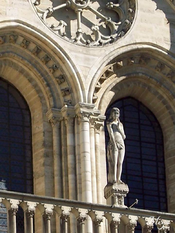 Notre Dame beauty 24.jpg