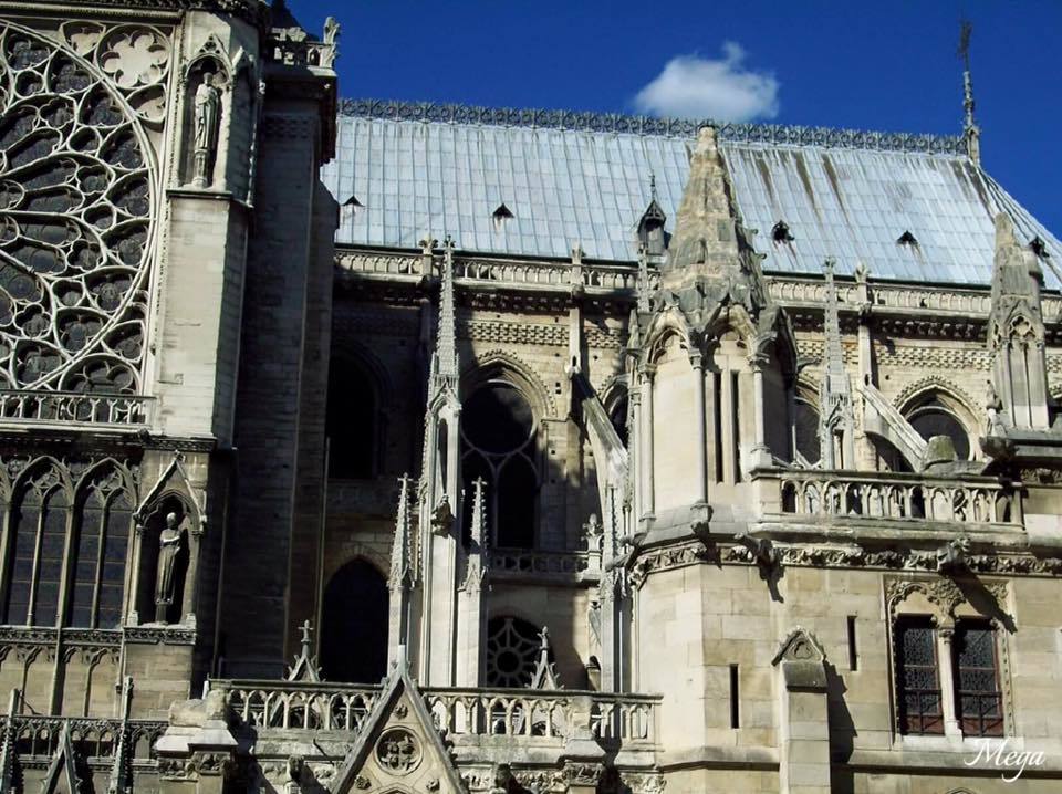 Notre Dame beauty 25.jpg