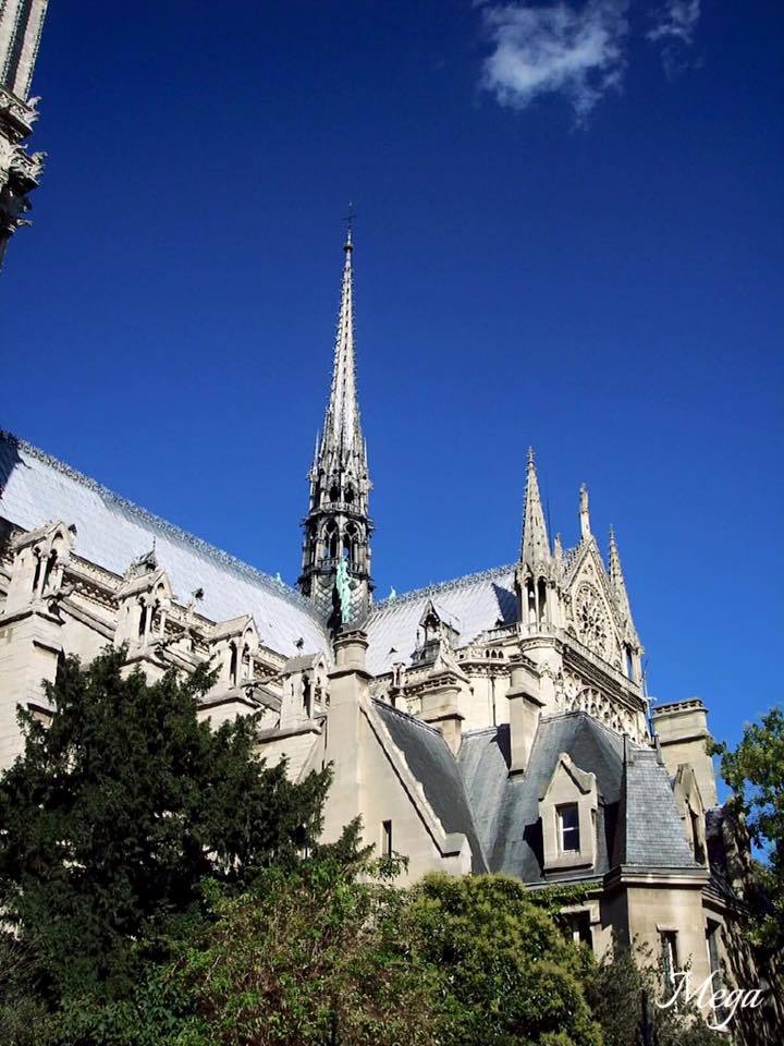 Notre Dame beauty 27.jpg