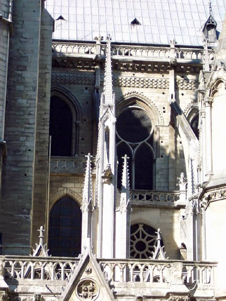Notre Dame beauty 28.jpg