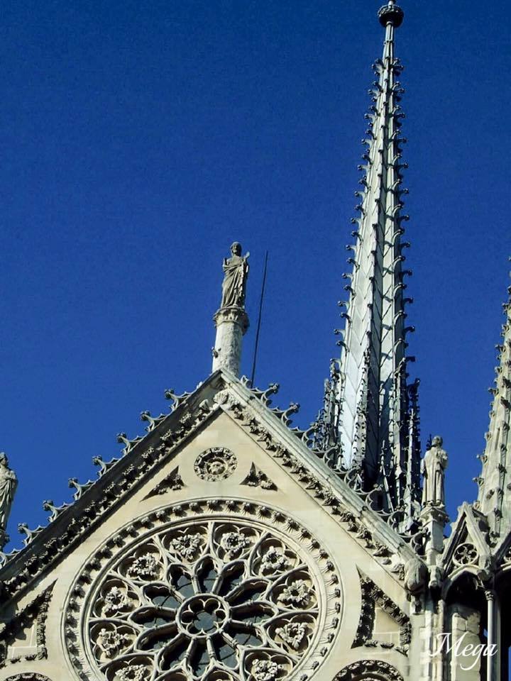 Notre Dame beauty 29.jpg