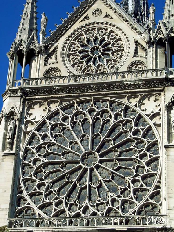 Notre Dame beauty 30.jpg