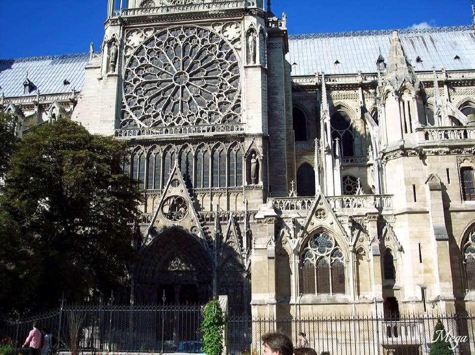 Notre Dame beauty 31.jpg
