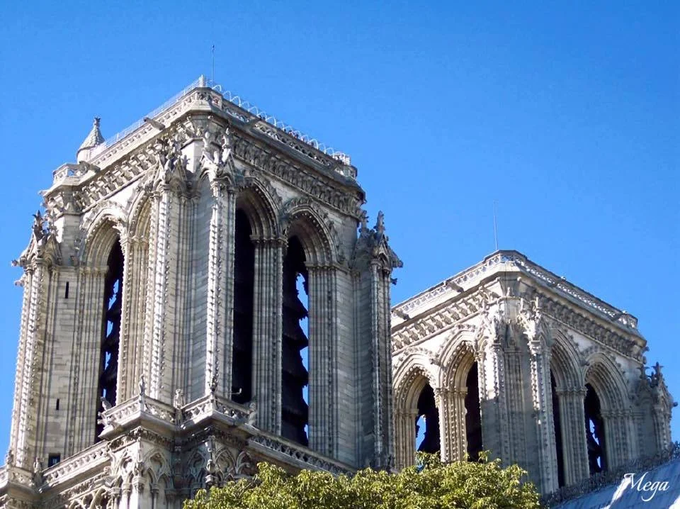 Notre Dame beauty 32.jpg