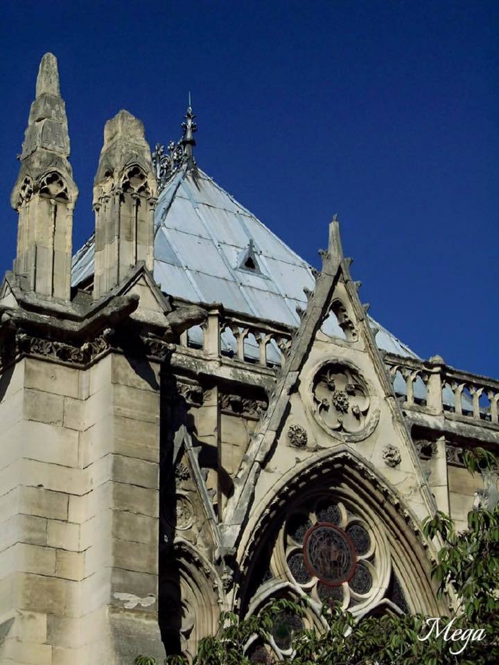 Notre Dame beauty 33.jpg
