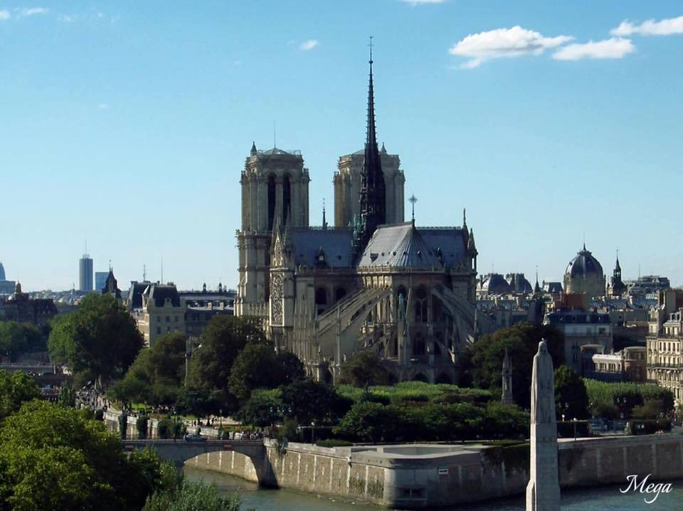 Notre Dame beauty 36.jpg