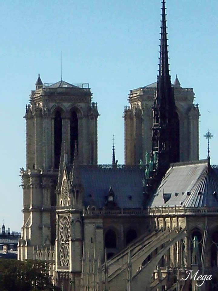 Notre Dame beauty 37.jpg