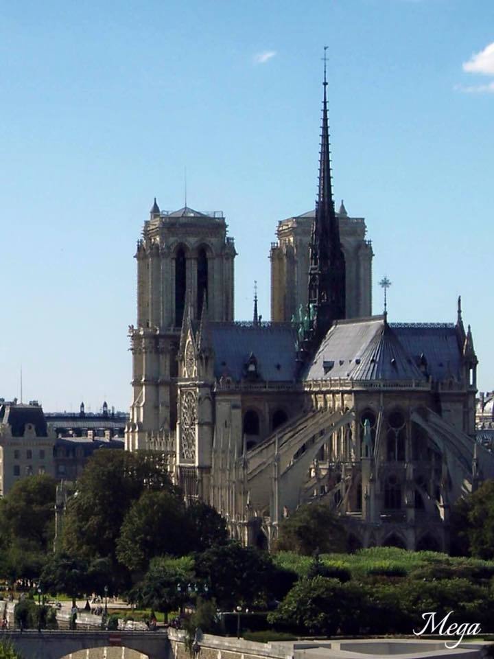 Notre Dame beauty 38.jpg