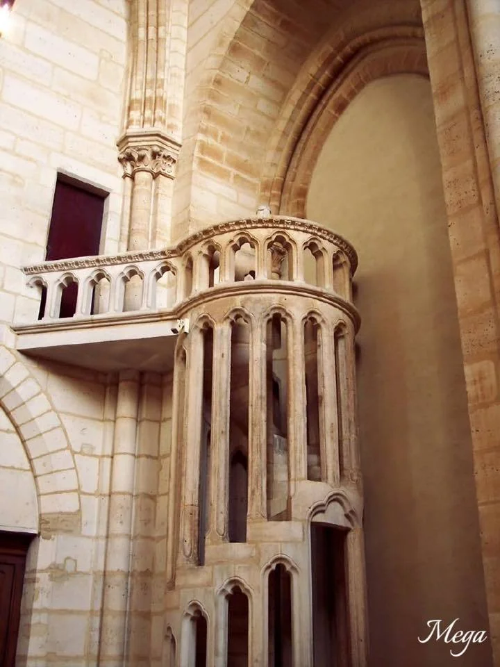 Notre Dame beauty 39.jpg